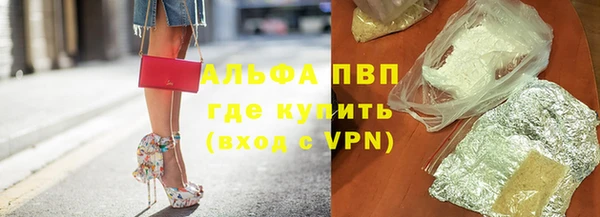 индика Абинск
