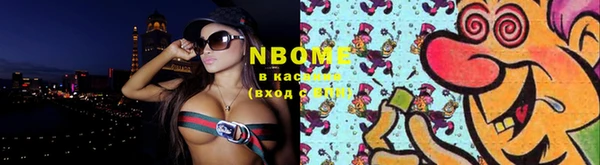 индика Абинск