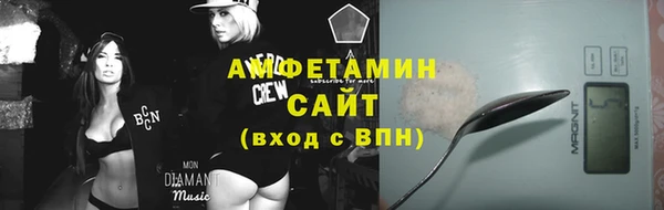 индика Абинск
