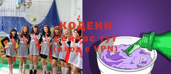 индика Абинск