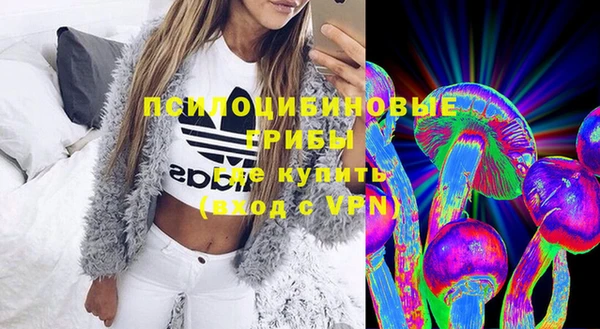 индика Абинск