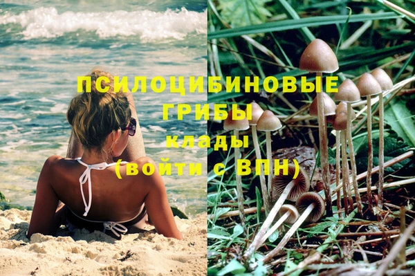 ешки Алексин