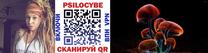 купить   Дмитровск  Галлюциногенные грибы Magic Shrooms 