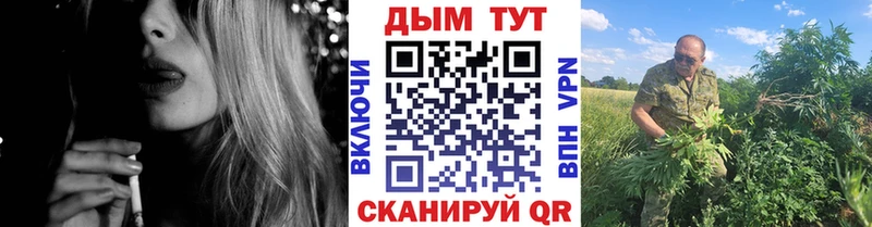Бошки Шишки семена  купить закладку  Дмитровск 